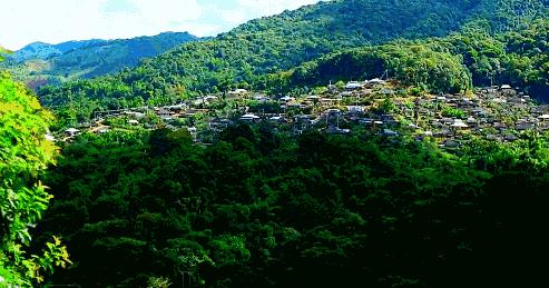 在娄山栖谷，遇见向往的诗意生活