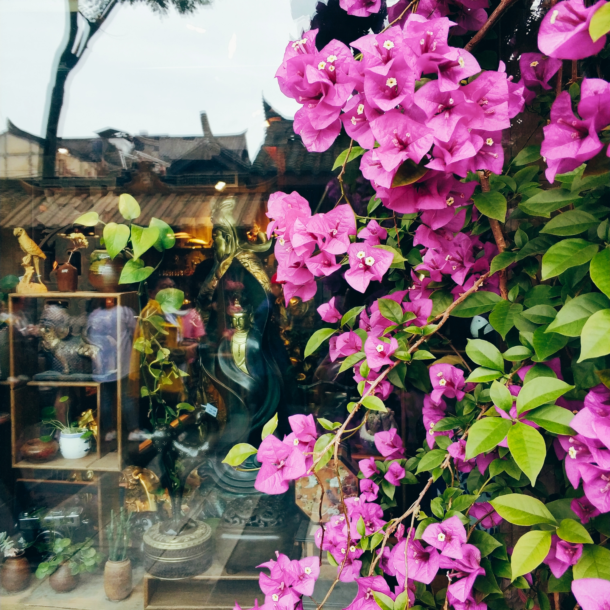 川藏线骑行从成都还是拉萨开始,318川藏线成都到拉萨骑行赛