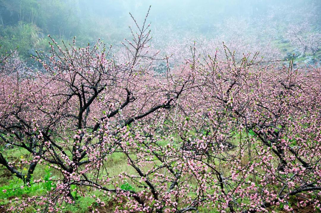 一副千年对联两句人生智慧,一年四季十个字对联