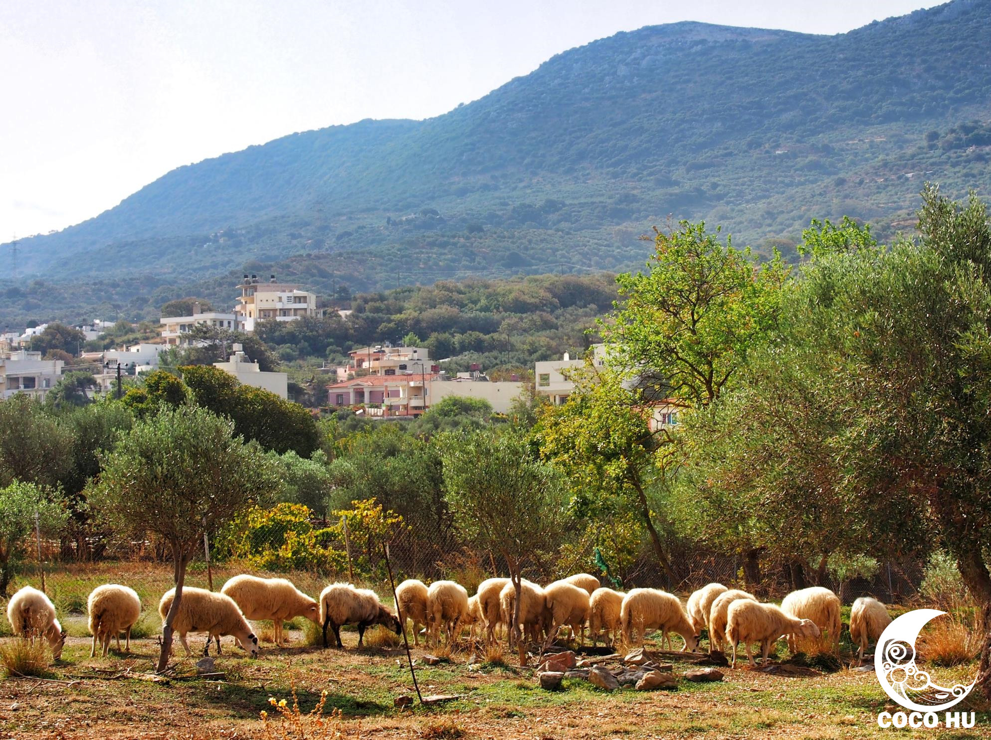 克里特文明与古埃及文明的联系,希腊克里特岛文明