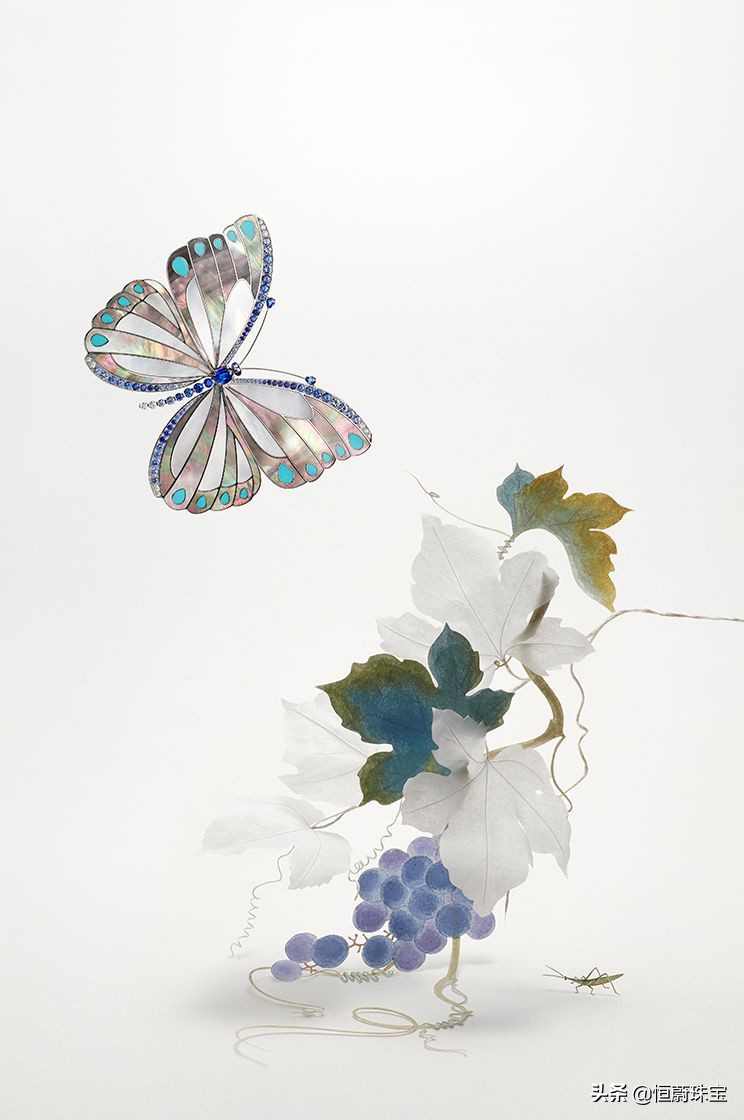 梵克雅宝蝴蝶胸针,梵克雅宝的历史著名胸针设计