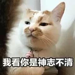 会杀死猫咪的小佩猫窝，请立刻停用
