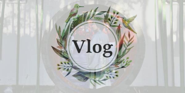 直播风口已开,新手短视频如何涨粉?