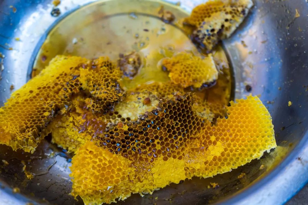 土蜂蜜的取蜜全过程,土蜂蜜取蜜全过程记录