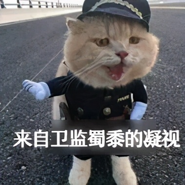 “牙医”戏精上身，碰瓷不成还殴打执法员！结局悲催了