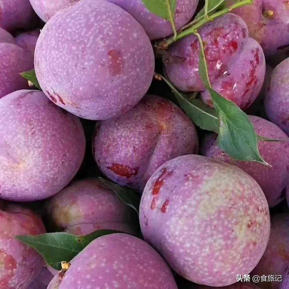 正宗的三华李水果,摘三华李酸甜脆口特解馋