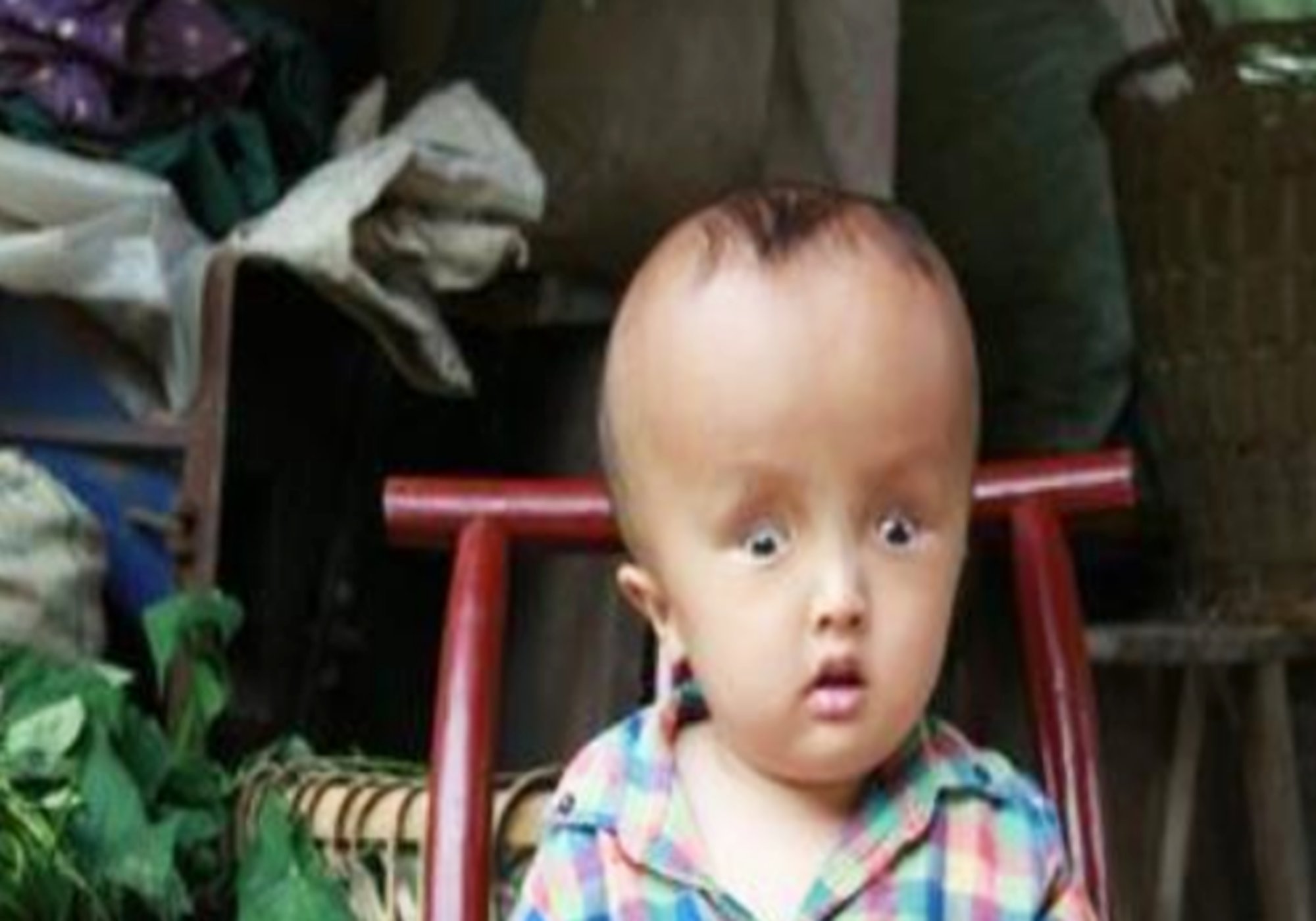 吃过三鹿奶粉的宝宝现在怎么样了,喝三鹿奶粉的孩子现在都怎么样了