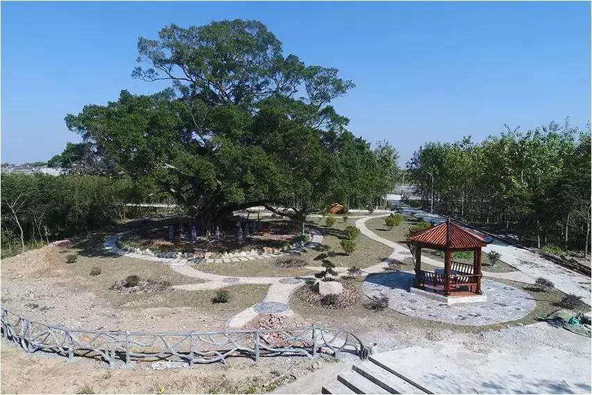 碧桂园精准扶贫宣传片,新华社点赞碧桂园产业扶贫模式