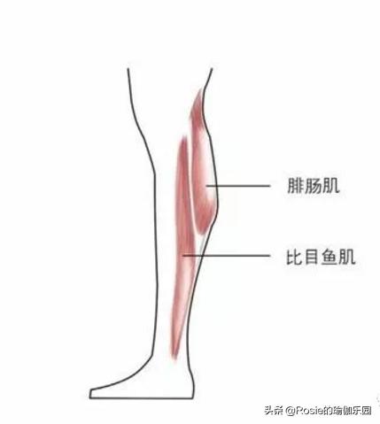 想练腿有什么方法,练长腿瘦腿