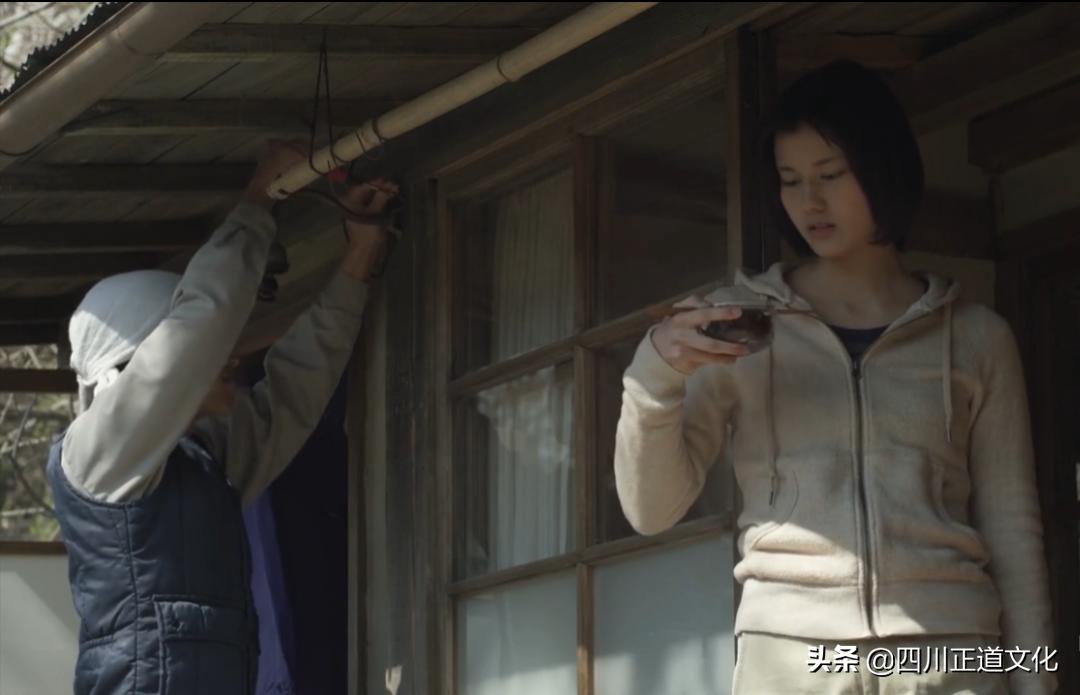 值得看的电影春天,春天的电影名字