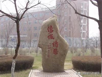 长春职业技术学院院长,长春职业技术学院伤人事件