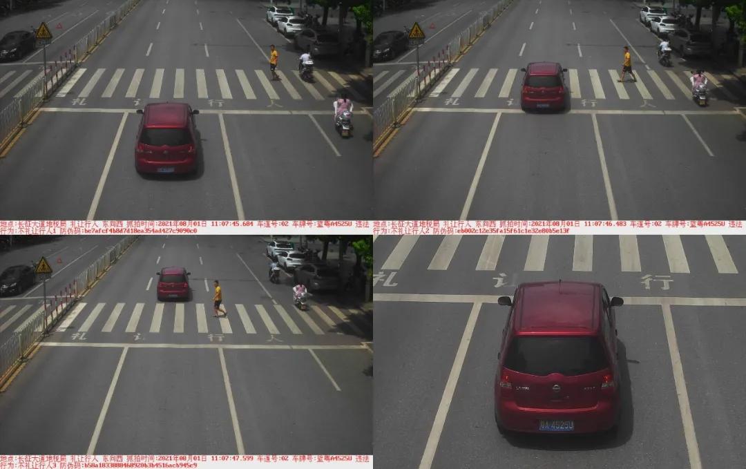 于都礼让行人上哪里举报,于都五中不礼让行人抓拍