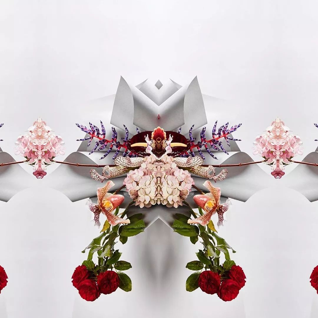 成都ins风花店,ins上六家花店