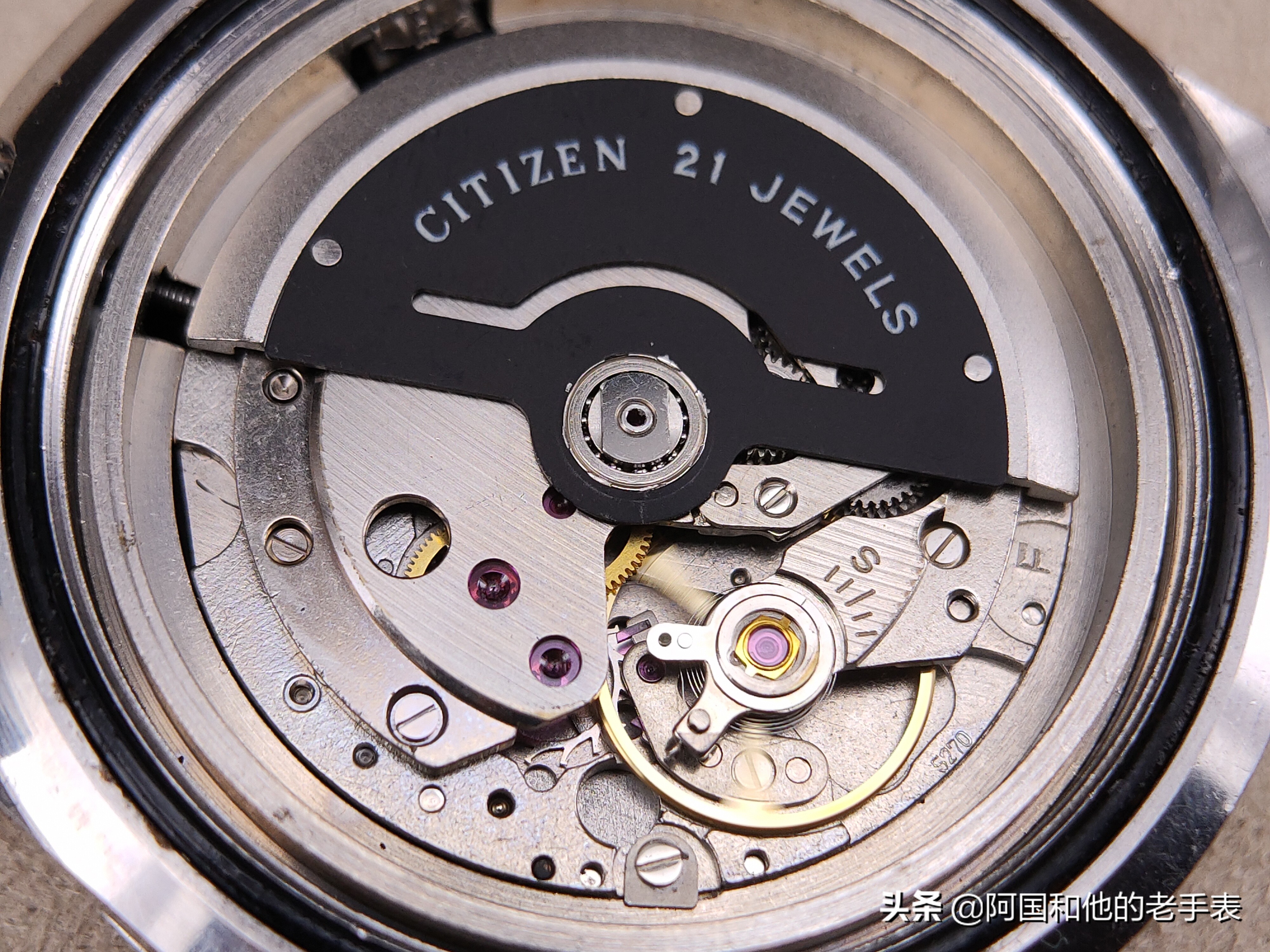 50年后的相见两只西铁城水鬼