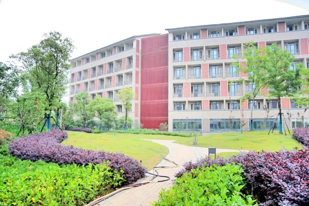 武汉最近哪所大学要搬新校区,武汉重点高中新校区