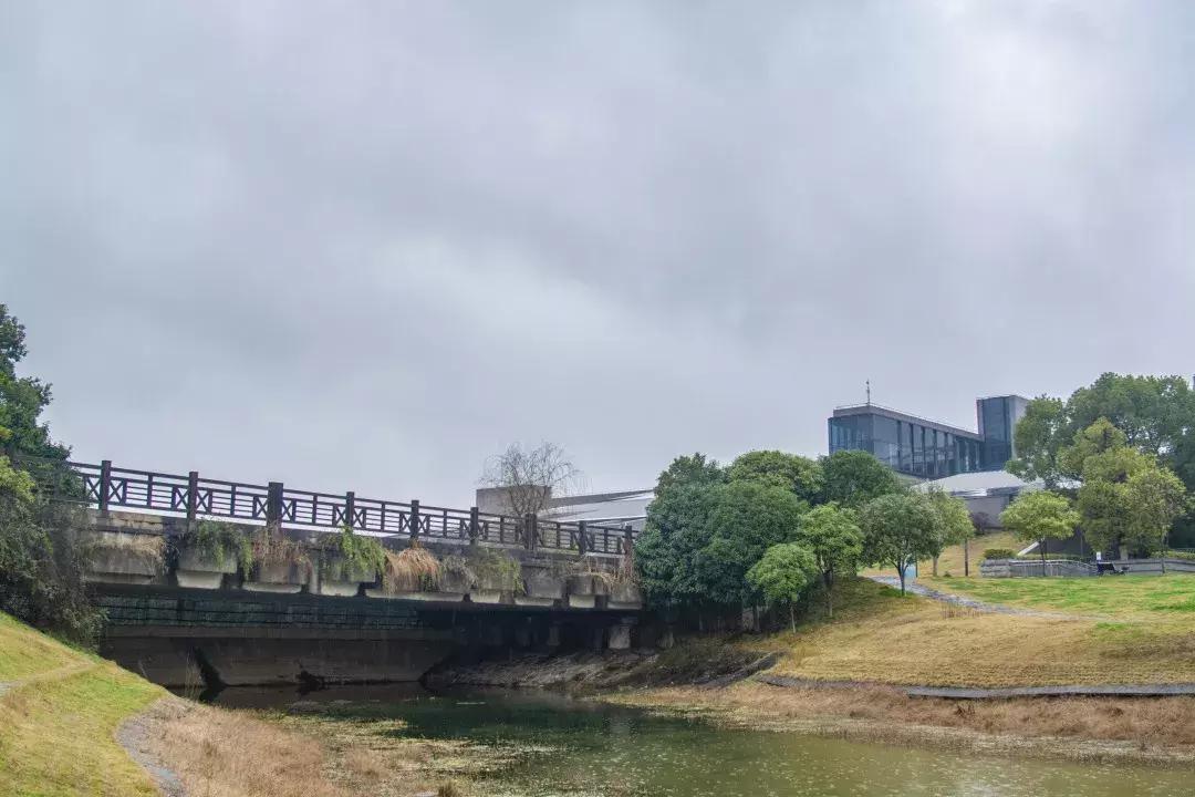 中南路事件,关于中南的那些事短剧