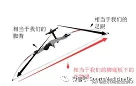 足跟跖腱膜炎怎么治疗,足跟腱鞘炎最简单自愈方法