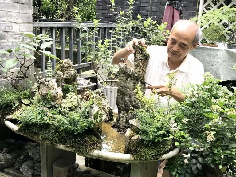 用根雕边角废料拼凑简单山水盆景,山水盆景制作基础方法入门