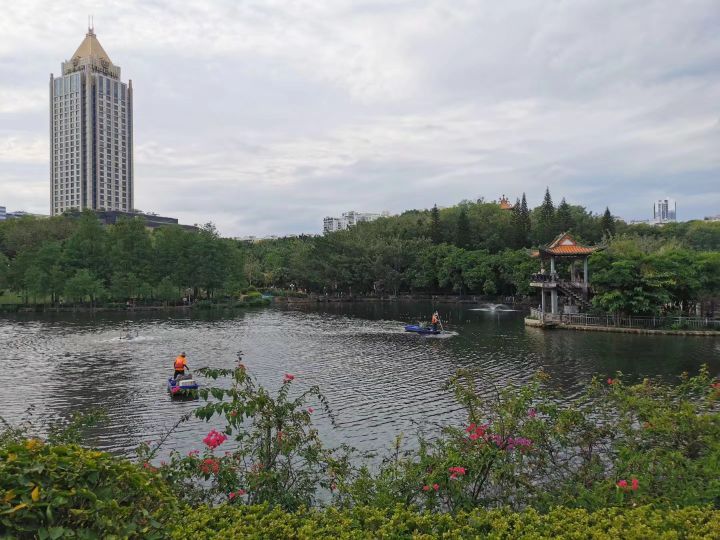 深圳五十个免费景区,深圳五一免费公园