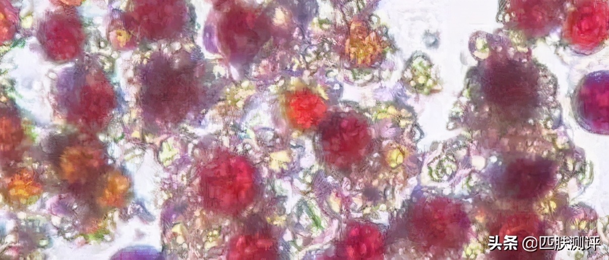 什么牌子的精华抗衰提亮,法国品牌galenic