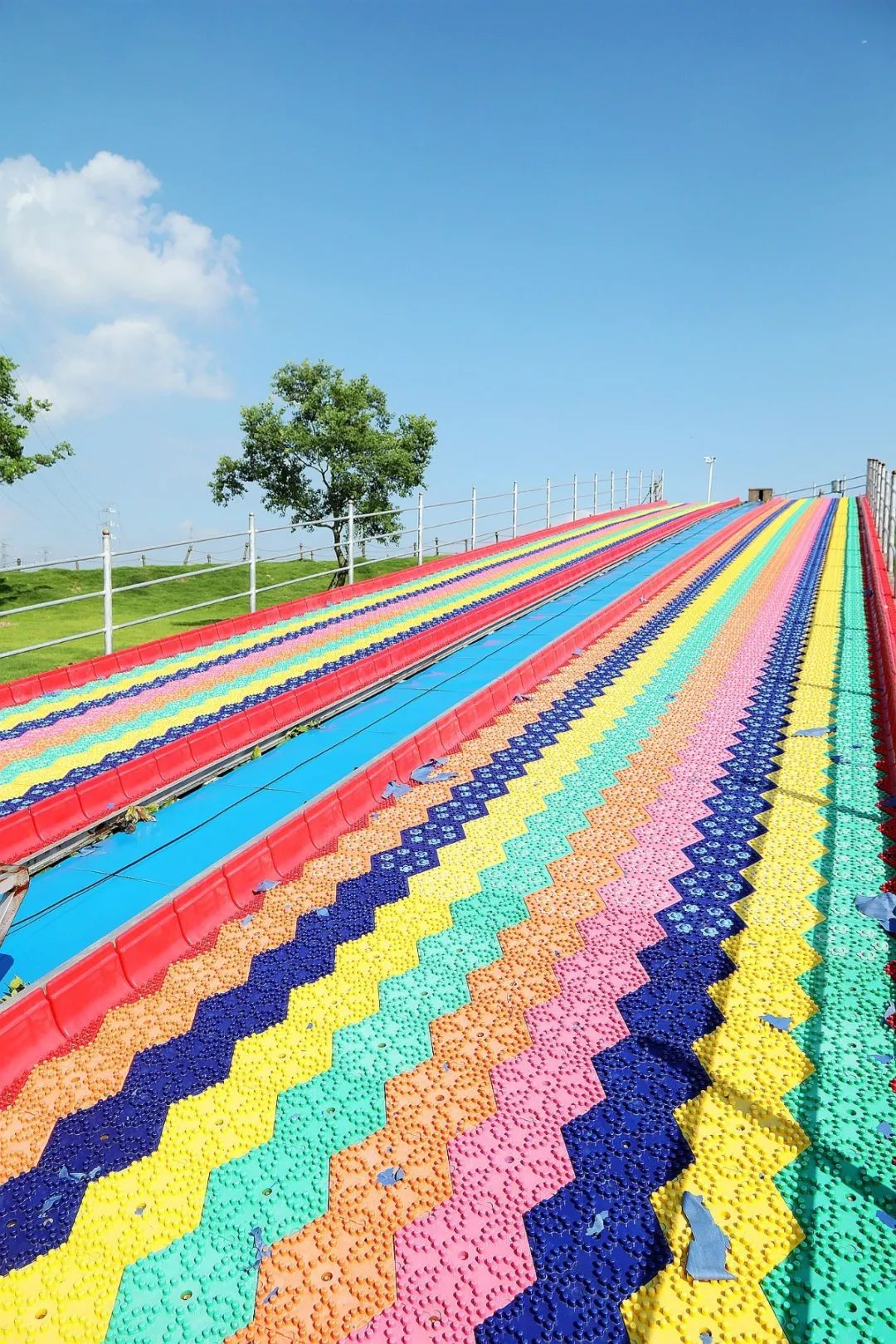 森氧之地，秋游必选！金湖万亩水上森林，真的别有趣味