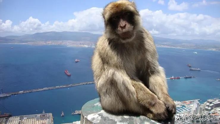 美国特色旅游景点口香糖墙,世上最恶心的景点墙上全是口香糖