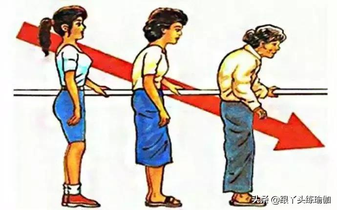 适合四十五岁每天练习的瑜伽动作,适合45岁练的瑜伽动作