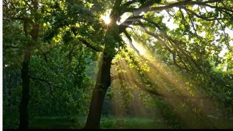 在大山深处迷路了,在大山里迷路了报警怎么给警察说