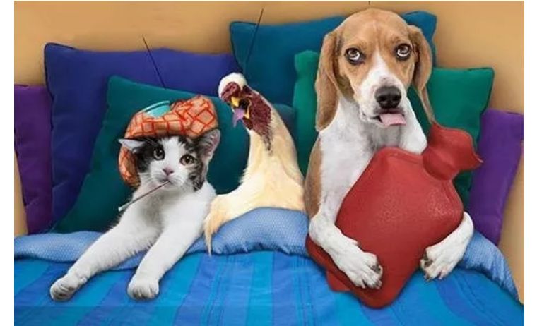 天冷了穿什么鞋最好女,天冷穿什么鞋能保暖