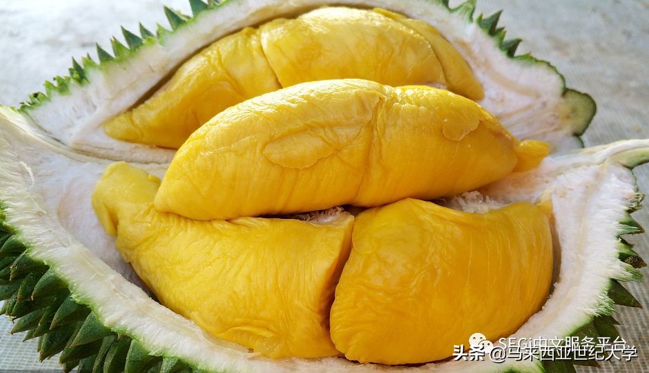 马来西亚榴莲品种大全,马来西亚d14榴莲是什么品种
