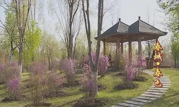 长春百花园游玩攻略,长春的百花园冬天的景色