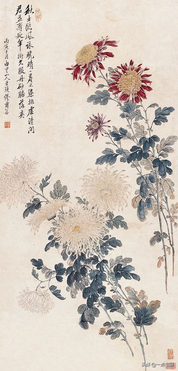 缪谷瑛菊花国画作品专辑,缪谷瑛菊花画法