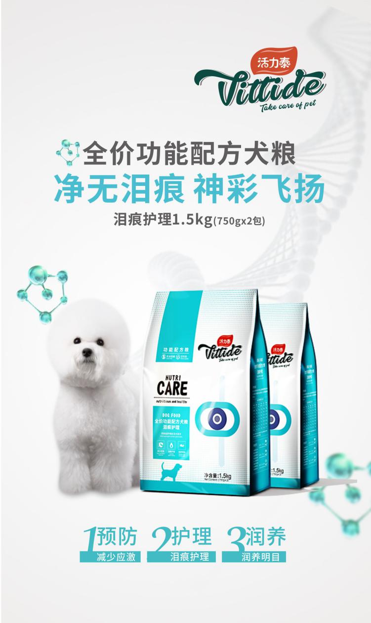 李金铭娄艺潇从校服到婚礼现场,李金铭娄艺潇综艺节目在哪看