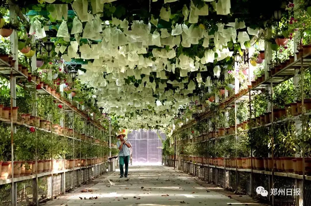 向全世界推介郑州,向全国推介郑州