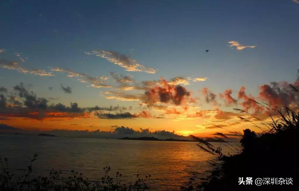 深圳杨梅坑溪谷,深圳最美溪谷杨梅坑