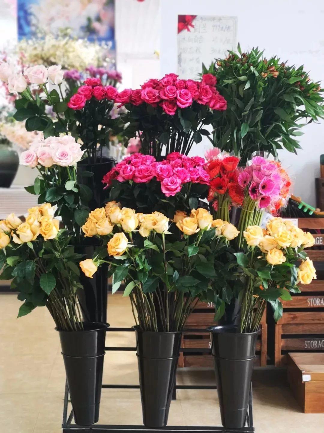 槽糕,是心动的感觉!这个神秘花谷正在悄然绽放!走,去拍照~