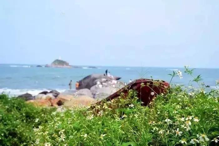 网红打卡地全球十大最美海岛,厦门旅游网红打卡地方