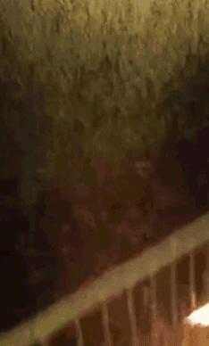 各种搞笑方法干掉蚊子,如何一次干掉100只蚊子