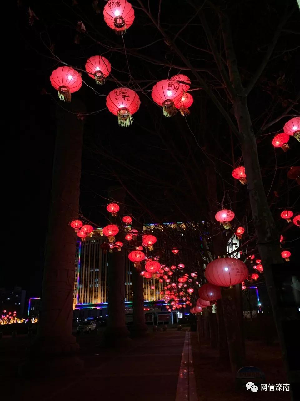 疫情之下你从未见过的平顶山,唐山滦南县有疫情吗