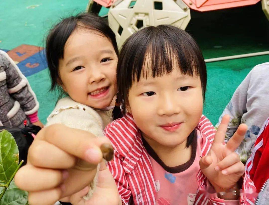 下暴雨时蜗牛会怎样生活,警惕雨后出现的大蜗牛千万别碰