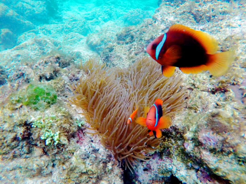 台山下川岛,台山下川岛航拍