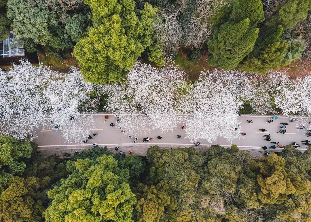 中国魂武汉,什么是武汉之魂