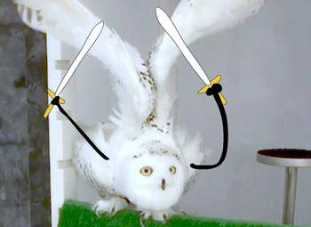 萌款lolita裙子大盘点,近期有什么限定的lolita裙子