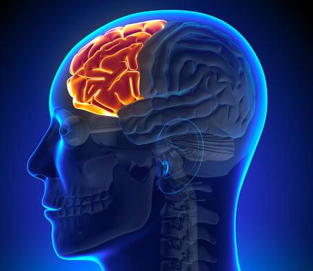 上课爱走神做小动作,小学生走神小动作