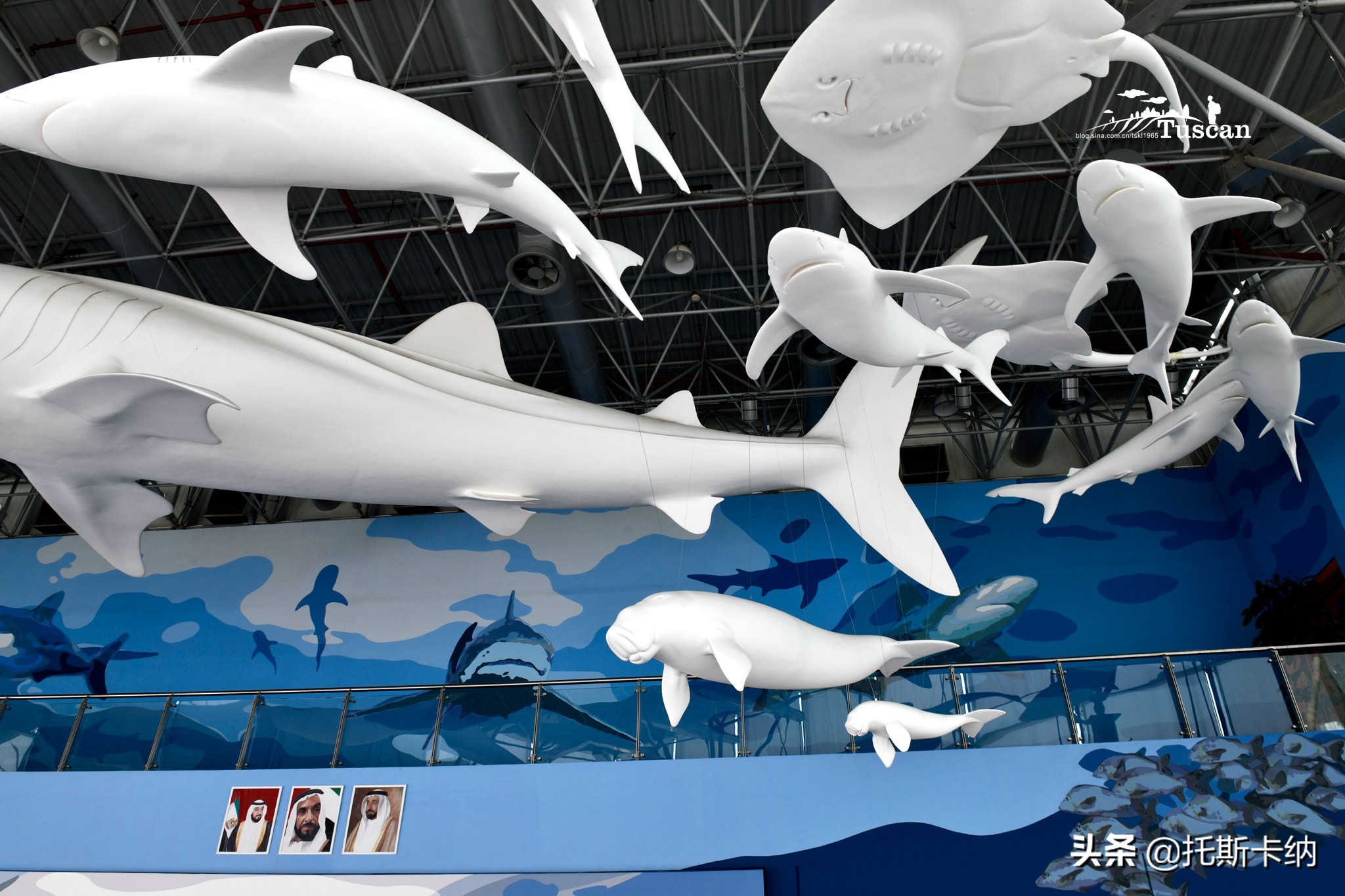 阿联酋沙迦有什么好玩,阿联酋沙迦景点介绍