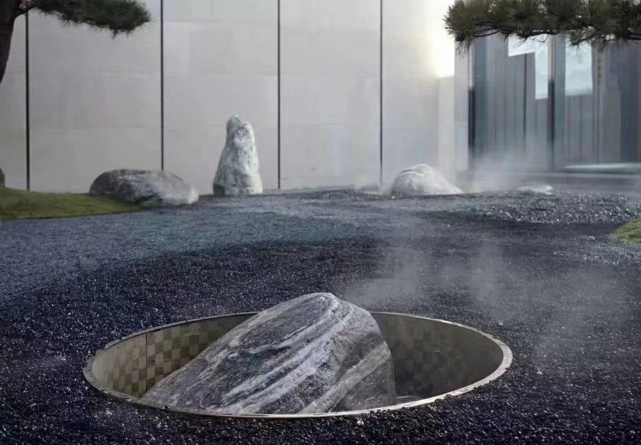 家里院子适合放什么盆栽,家里院子放什么好看