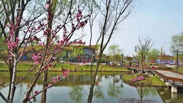 武汉市最热门的春游景点,2022武汉春游好去处