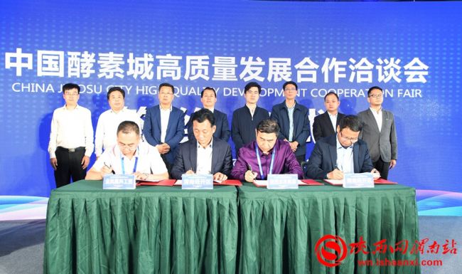 中国酵素城核心区,中国酵素城规划