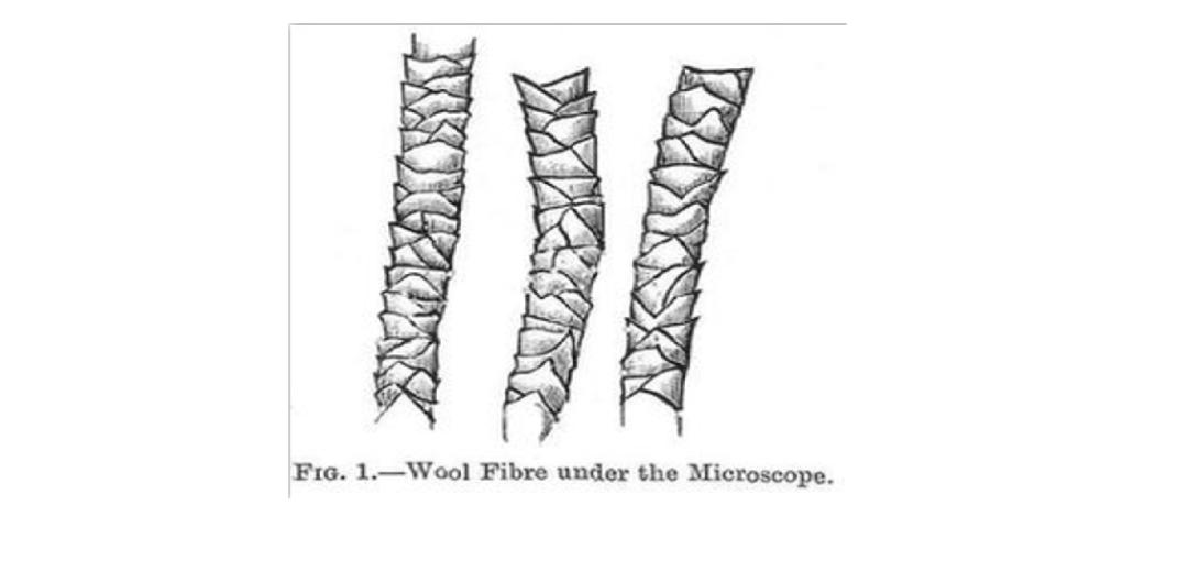 纯棉的衣服缩水买大一码的正确吗,纯棉衣服可以用洗衣机甩干后缩水