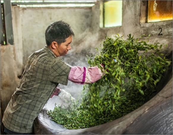 全国十大名茶旅游地,中国十大茶旅